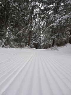 Foto von Manu Lange entlang der Tour