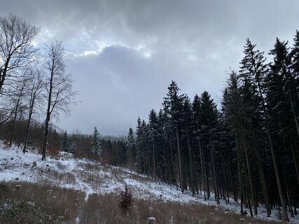 Fotografia z Arthur Muskalla na trase