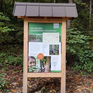 Infotafel Waldbadepfad Assamstadt