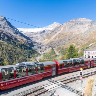 Alp Grüm