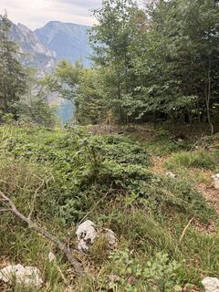 Foto von DERRICK entlang der Tour