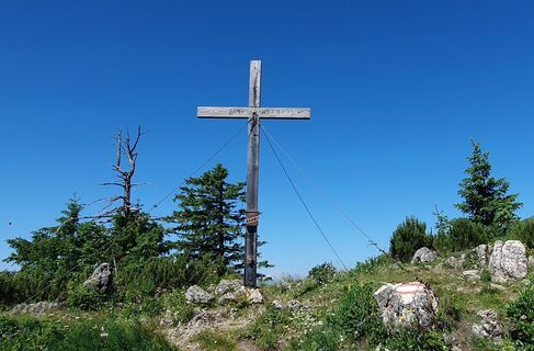 Photo de mike wm le long du parcours