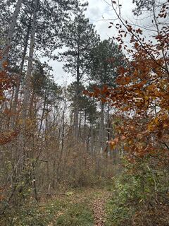 Fotografia z RS76 na trase