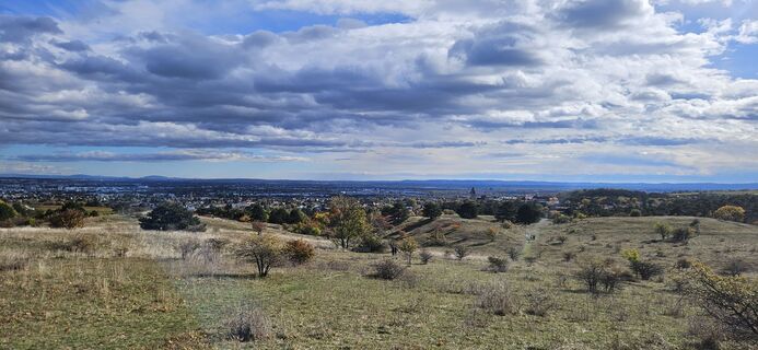 Fotografia z Arnold Burböck na trase
