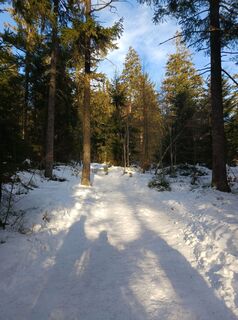 Photo from Burgim65 along the tour