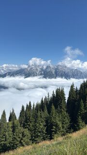 Fotografija s spletne strani Michael Grüll na poti