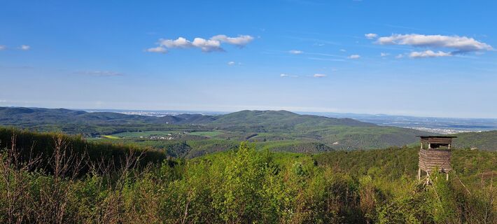 Foto von Stefan Haller 4 entlang der Tour