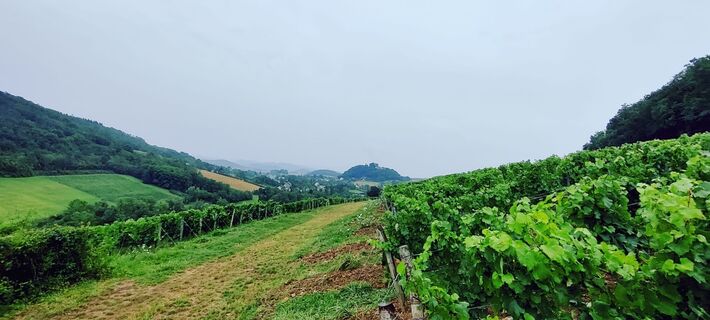 Fotografija s spletne strani Gie van den eeckhaut na poti