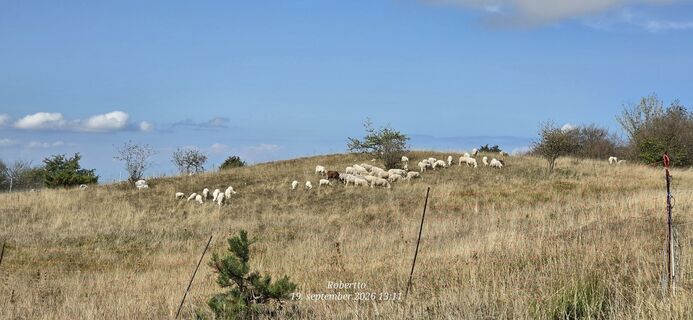 Photo de Robertto le long du parcours