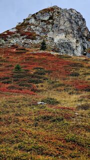 Foto von Fabrizi Mellano entlang der Tour
