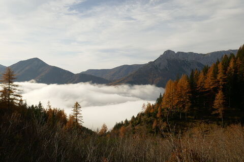 Eine dicke Nebeldecke hängt noch im Tal