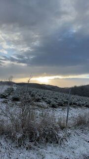 Foto de Justin Besting a lo largo del recorrido