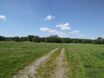 Foto von Fontane9122 entlang der Tour