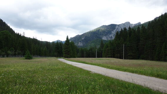 ab jetzt in der Steiermark