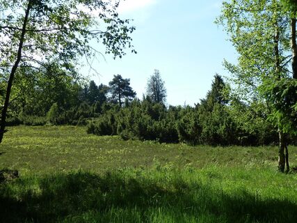 Wacholderweg