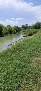 Foto von Wanderbiene entlang der Tour