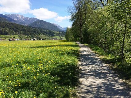 Ennsrundweg im Frühling