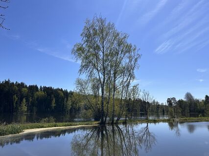 Fotografie z Norbert Herbig na trase