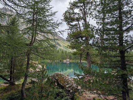 Foto von WolBo entlang der Tour