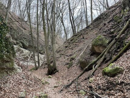 Foto de István Márton Bekő a lo largo del recorrido