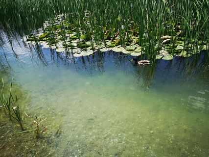 Fotografie z Ulrike Drexler na trase