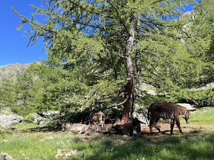 Photo de Toni Lerda le long du parcours