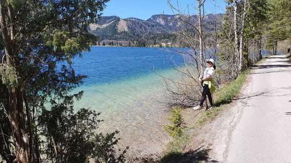 0.8 km Westende mit Hochkogel