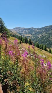 Foto von Fabrizi Mellano entlang der Tour
