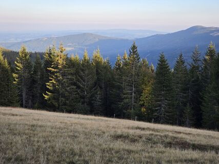 Fotografija s spletne strani TwilightTea na poti