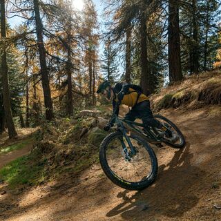 Herbst auf dem Foppettas Flow Trail