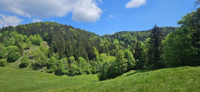 Photo de Mateja Rečnik le long du parcours