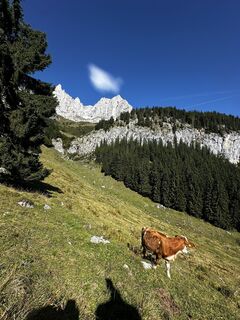 Zdjęcie z Sabrina Artmann wzdłuż trasy