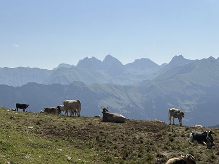Foto von Bettina Boysen entlang der Tour