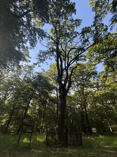 Photo de Reti Alicia le long du parcours
