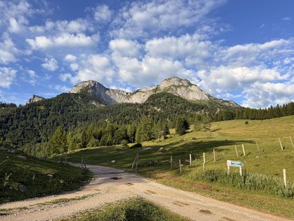 Foto von Natur_erleben_dg entlang der Tour