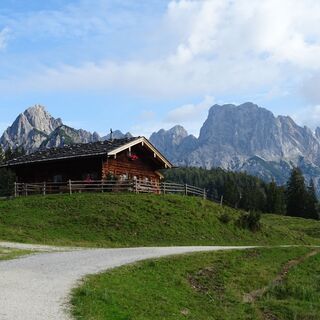 MTB Tour auf die Litzlalm / Gerhardstein