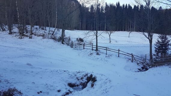 Nach dem Bach schräg rechts hinauf