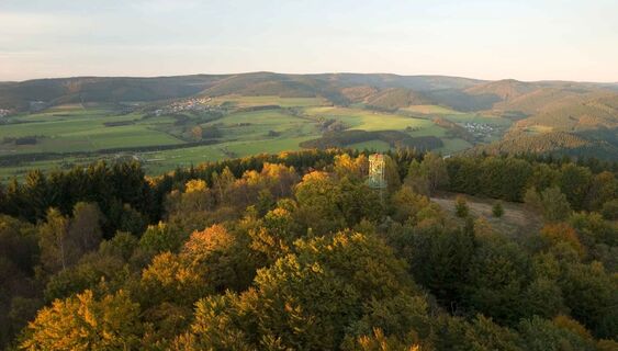 Blick vom Wilzenberg in Richtung Holthausen