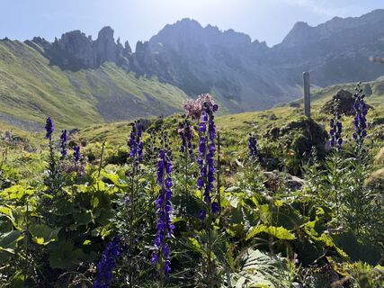 Fotografija s spletne strani Robert Dolp na poti