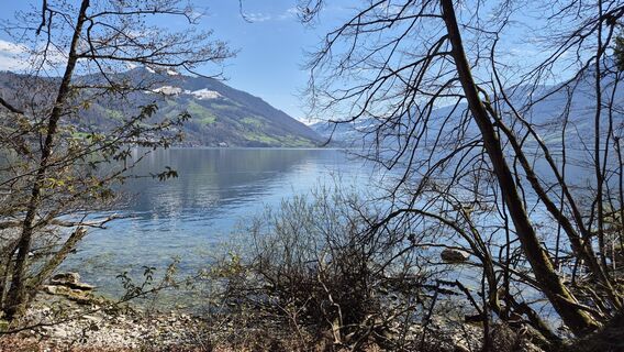 Photo de Thomi W le long du parcours