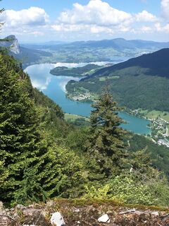 Blick auf den Mondsee