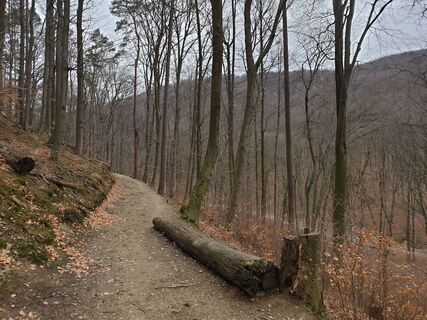 Foto von Georg B. Meier entlang der Tour