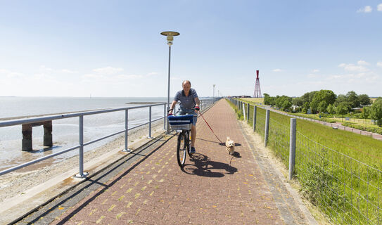 Fahrrad fahren Eckwarderhörne.jpg