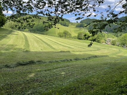 Photo de Martino68 le long du parcours
