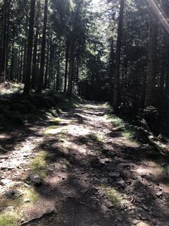 Fotografia z Josef Pauli 1 na trase