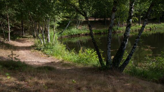 Aussicht entlang des Weges
