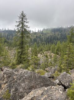 Fotografia z C Verbeek na trase