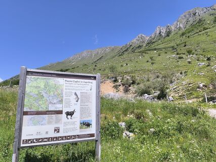 Foto von Latschngeist Michl entlang der Tour