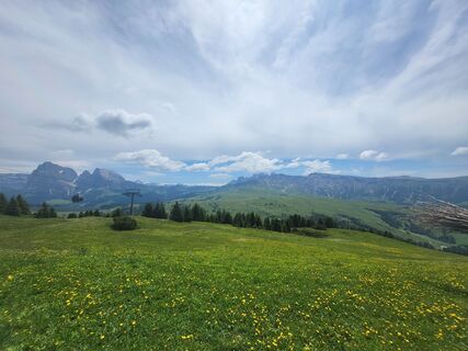 Foto von Anke Hetzer entlang der Tour