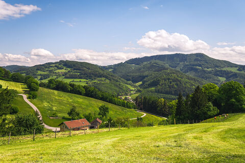 Foto von Leo Fahrngruber entlang der Tour